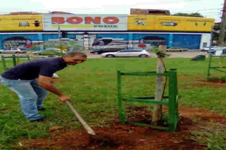 Rotatória do Km 21 recebe árvores no programa Plantio Global