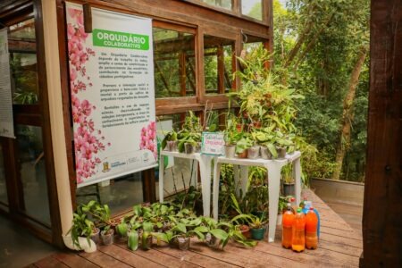 Prefeitura de Carapicuíba promove diversas atividades em comemoração à Semana do Meio Ambiente