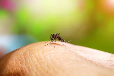 Governo de SP lança Plano de Contingência da dengue, chikungunya e Zika